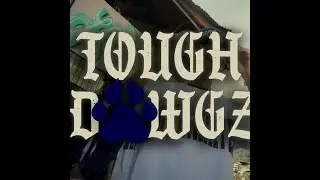 TOUGH DAWGZ -  ( OFFICIAL MUSIC VIDEO ) PRODBY.LUCASBEATS