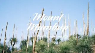 Fujifilm 33mm f/1.4 Video Sample