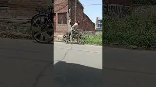 #shortsvideo