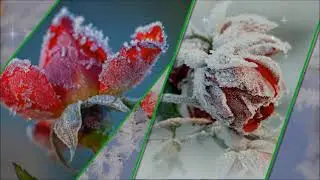 Стили для программы Proshow Producer для двух и пяти фотографий