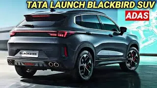 TATA LAUNCH BLACKBIRD MID SIZE SUV IN INDIA 2024 | PRICE, FEATURES, LAUNCH DATE | UPCOMING CARS 2024