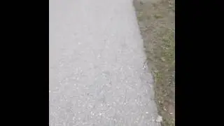 Шышка