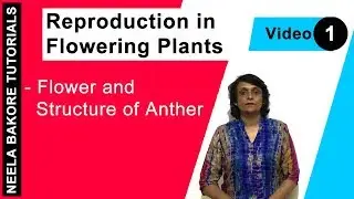 Reproduction in Flowering Plants | NEET | Flower and Structure of Anther | Neela Bakore Tutorials