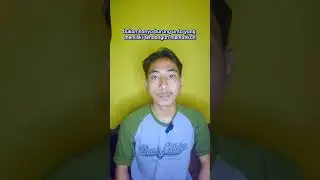 5 Hewan dengan tendangan terkuat di Dunia bisa membunuh Manusia lo