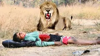 The lion ate the child in the F | The Disturbing Truth About Lion Attacks part 8 |