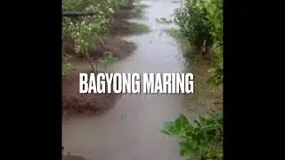 EPEKTO NG BAGYONG MARING SA FARM//LH Farm