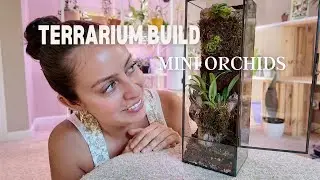 Creating a Mini Orchid Terrarium