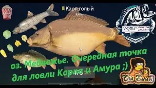 Russian Fishing 4. oz. Bearish Another point for catching Karp and Cupid.