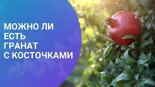 МОЖНО ЛИ ЕСТЬ ГРАНАТ С КОСТОЧКАМИ
