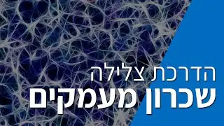שכרון מעמקים - לירון תירוש