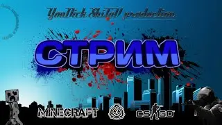Стрим по майнкрафт и ксго + вебка