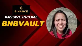 How BNB Vault Works?