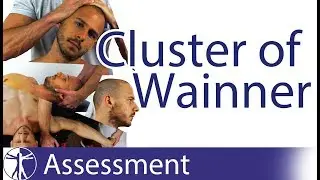 Cluster of Wainner | Cervical Radicular Syndrome