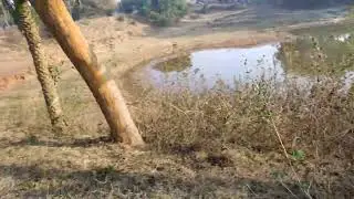 My Village