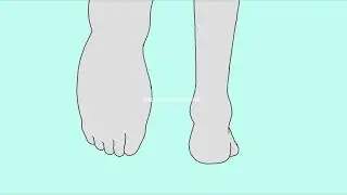 Walk Cycle Animation