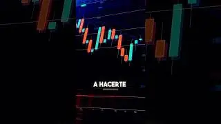 NO PAGUES IMPUESTOS | On Chain World