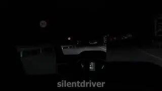 driving at night is dangerous - ets2 shorts