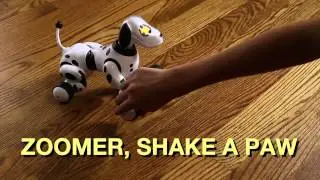 Робот собака zoomer