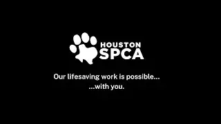 Houston SPCA 2024 Mission Video