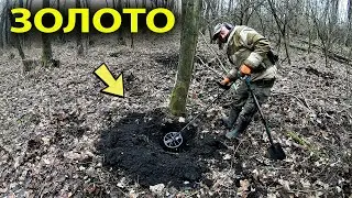 Found GOLD in the forest under the roots that was in a jug. Search with a metal detector in Ukraine