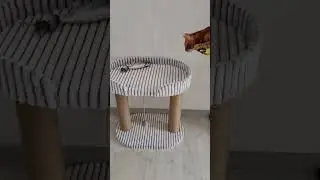 кот АЛЕКС ❤❤ Новая лежанка