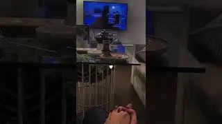 26 Ağustos 2024