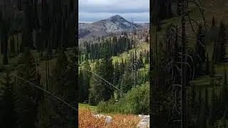 The Hike to Hard Creek