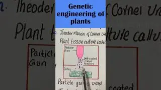 genetic engineering of plants #visiblescience