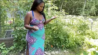Come on a Garden walk with me ft. Dossier