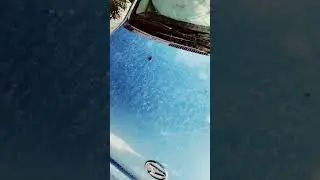 rainfall damage | 2022 |Travel easy.