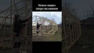 Теплица из дерева 6х10м своими руками