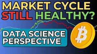 Is Bitcoin's (BTC) Bull Market Still on Track or Should We be Concerned?