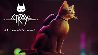 Stray | Part 1 - Ein neuer Freund