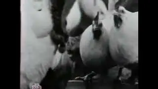 Романс из фильма 