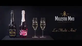 Milestii Mici - Revelion