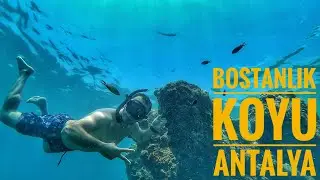 Bostanlık Koyu Sualtı Nasıl? - Antalya (Phaselis Antik Kent Mevkii)