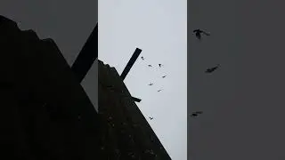 Заехал в гости к старому знакомому