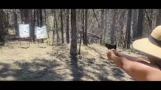 S&W MP Shield.  Wifey have come a long way.
