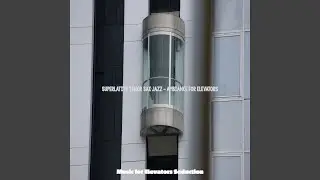 Extraordinary Elevators