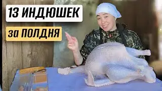 ЗАБОЙ ИНДЮКОВ: от А до Я