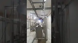 Qatar Slaughterhouse.