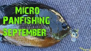 EARLY FALL PANFISHING!!