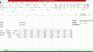 Basic Excel Tricks - How to Determine data types in Excel and Count Functions
