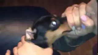 Вдуть