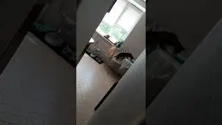 ✔ Ася хитро попик... 