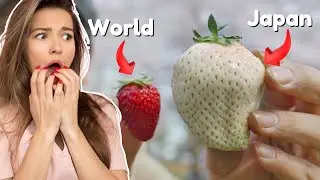 CRAZY Things That Only Exist In Japan