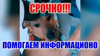 СРОЧНО! МАКСИМАЛЬНЫЙ РЕПОСТ! ПОМОГАЕМ ИНФОРМАЦИОННО!!