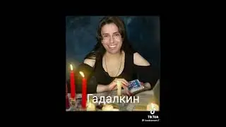 Мемасы тик тока 