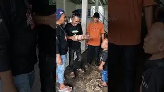 sketbor