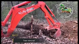Kubota L2501 | BH77 backhoe | TREE REMOVAL | the biggest tree i have attempted!